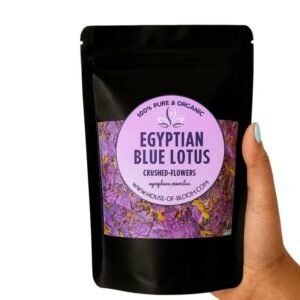 Organic Egyptian Blue Lotus | Sacred Ancient Flower for Traditional Wellness