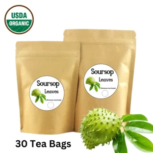 Organic Soursop Tea Bags Graviola Annona Muricata leaves for immune support and digestive health