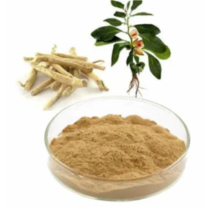 Premium Sri Lankan Ashwagandha root powder in glass jar with dried roots on rustic wooden table