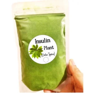 Organic Insulin Plant Leaves Powder Costus igneus Thebu for natural blood sugar management
