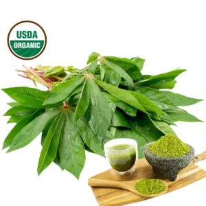 Dried organic cassava leaves from Sri Lanka - natural superfood with complete plant protein