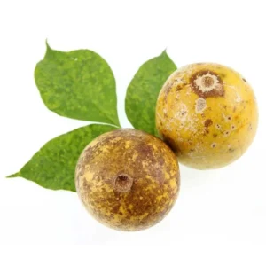 Organic Indian Bael Leaves Aegle Marmelos Bilva Patra for Ayurvedic diabetes support