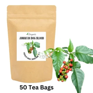Organic Fertility Bush Rivina Humilis tea bags from Sri Lanka for women's reproductive health