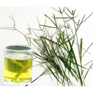 Organic Goose Grass Paragis dried Eleusine indica herb for kidney health and Ayurvedic wellness