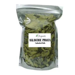 Jamaican Life of Leaf dried tea cuts miracle leaf bryophyllum pinnatum Caribbean herbs