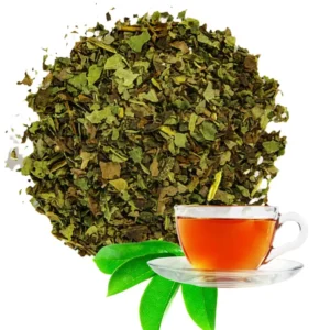 Organic Soursop Leaves Graviola Annona muricata for immune support and traditional wellness