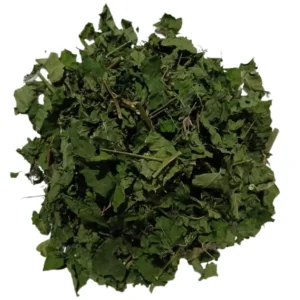 Jamaican Fertility Bush ground herb Rivina humilis wild crafted Caribbean traditional medicine
