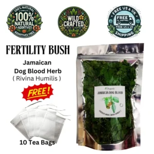 Jamaican Fertility Bush ground herb Rivina humilis wild crafted Caribbean traditional medicine