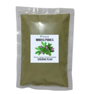 Premium Mimosa Pudica sensitive plant from Sri Lanka for traditional digestive wellness