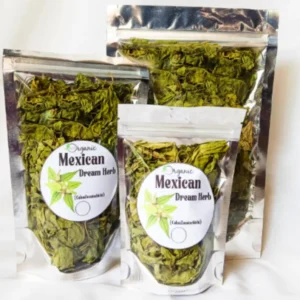 Premium Mexican Dream Herb Calea ternifolia for traditional digestive wellness and fever support