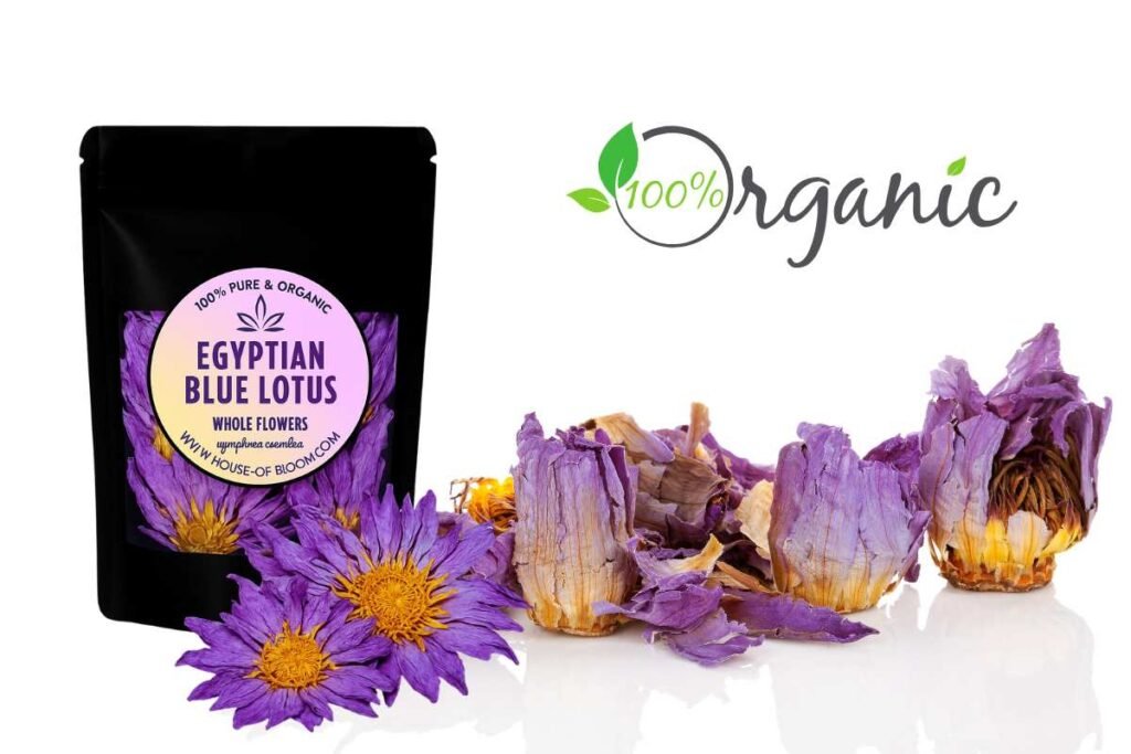 Organic Egyptian Blue Lotus flowers dried for herbal tea wellness routine