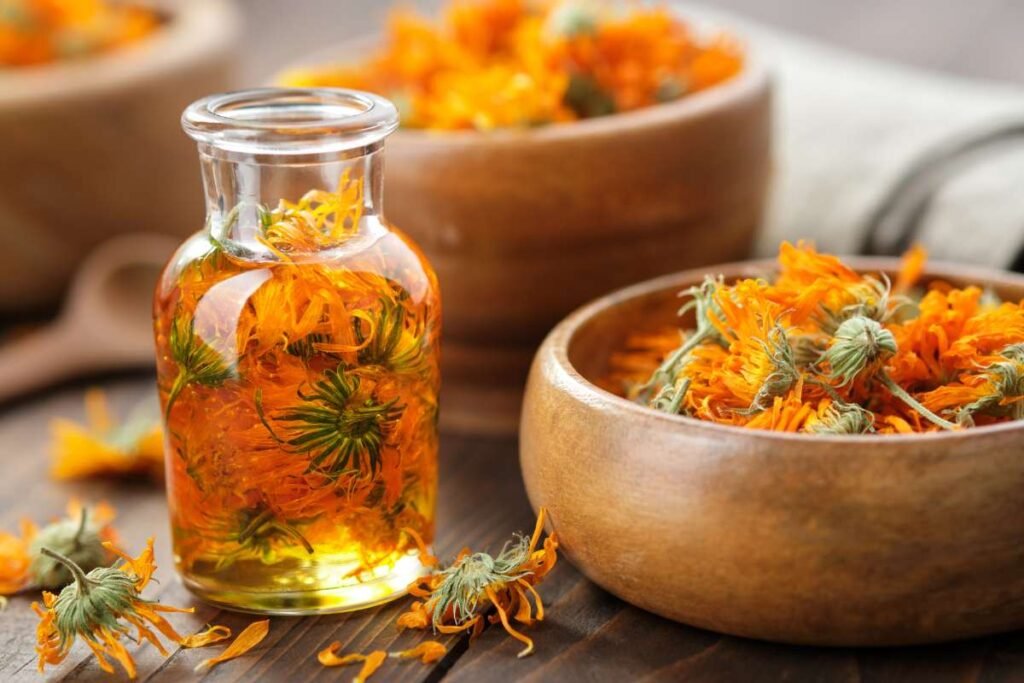 Essential herbal oils and dried herbs arranged for evening relaxation and sleep wellness routine